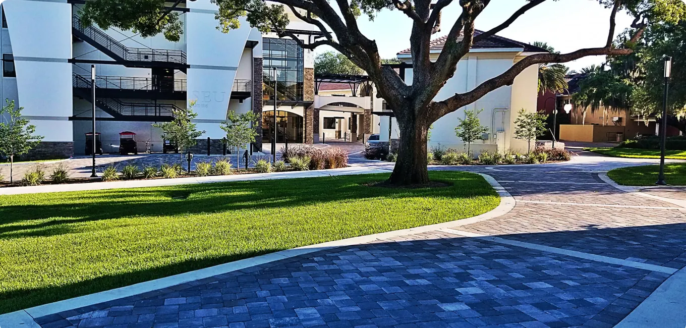 Paver pool deck beside a lawn under a large live oak
